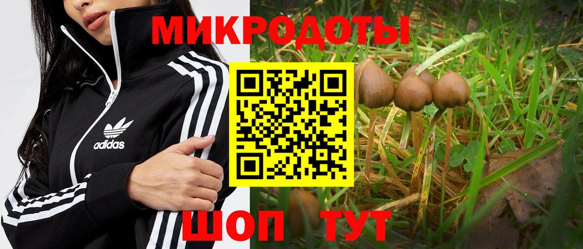 Галлюциногенные грибы ЛСД Краснознаменск