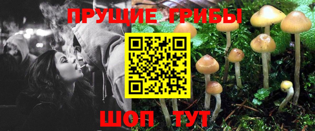 Краснознаменск  Галлюциногенные грибы Magic Shrooms  Галлюциногенные грибы MAGIC MUSHROOMS  Вход с VPN 